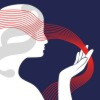 A Virtual Informational Meeting with the Founders of the Women in Law Conference in Vienna, Austria - logo